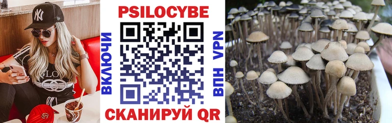 Галлюциногенные грибы Psilocybine cubensis  Купить где  Спасск-Рязанский 